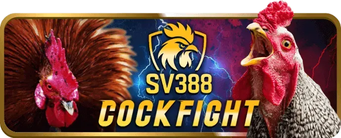 Ưu đãi chào mừng thành viên mới Q99