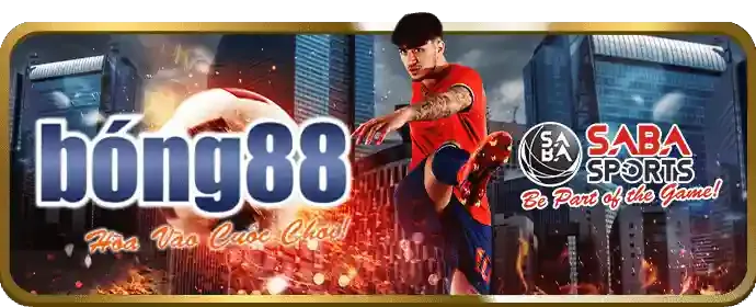 Cập nhật giải đấu thể thao q99